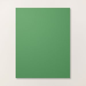 GARDEN GREEN 8-1/2" X 11" CARDSTOCK