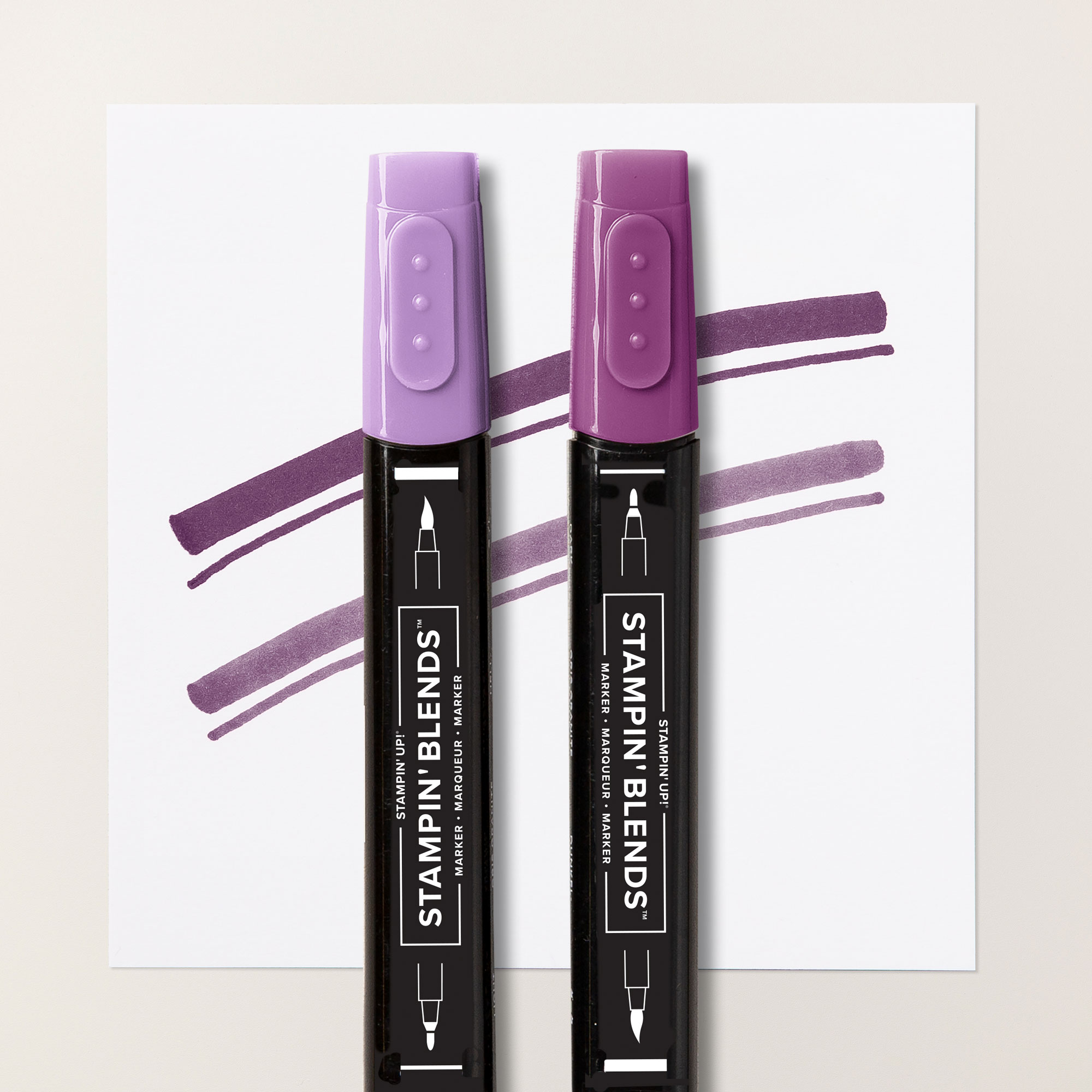 154877.jpg