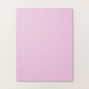 FRESH FREESIA 8-1/2" X 11" CARDSTOCK