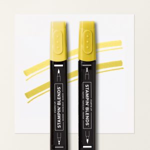 DARLING DUCKLING STAMPIN’ BLENDS COMBO PACK