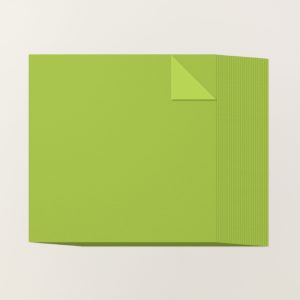 GRANNY APPLE GREEN 12" X 12" (30.5 X 30.5 CM) TWO-TONE CARDSTOCK