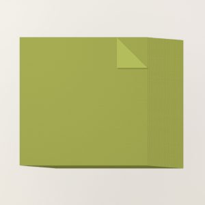 OLD OLIVE 12" X 12" (30.5 X 30.5 CM) TWO-TONE CARDSTOCK