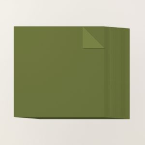 MOSSY MEADOW 12" X 12" (30.5 X 30.5 CM) TWO-TONE CARDSTOCK