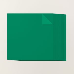 SHADED SPRUCE 12" X 12" (30.5 X 30.5 CM) TWO-TONE CARDSTOCK