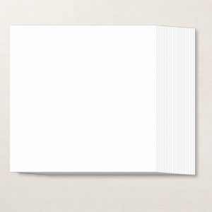 BASIC WHITE 12" X 12" (30.5 X 30.5 CM) THICK CARDSTOCK