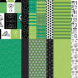 A WONDERFUL MATCH 12" X 12" (30.5 X 30.5 CM) DESIGNER SERIES PAPER