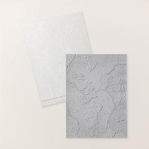 HUNDRED ACRE WOODS 3D EMBOSSING FOLDER
