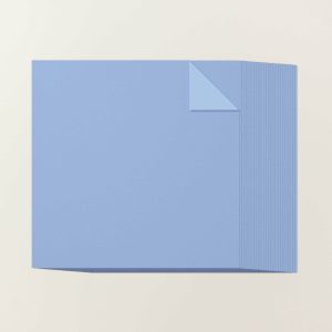 HYDRANGEA HUE 12" X 12" (30.5 X 30.5 CM) TWO-TONE CARDSTOCK