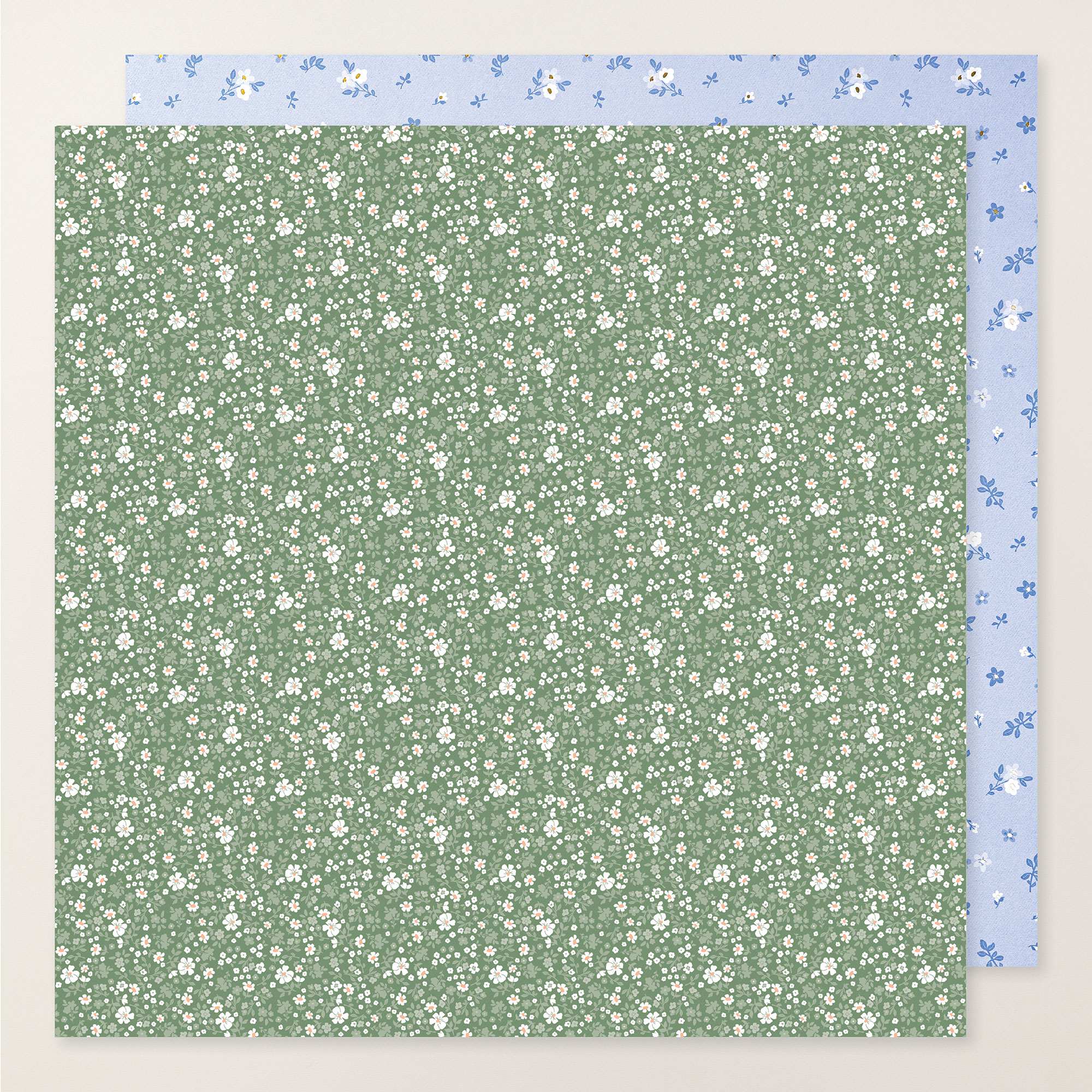 167734o07.jpg